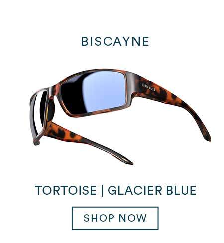 Biscayne Tortoise Glacier Blue 