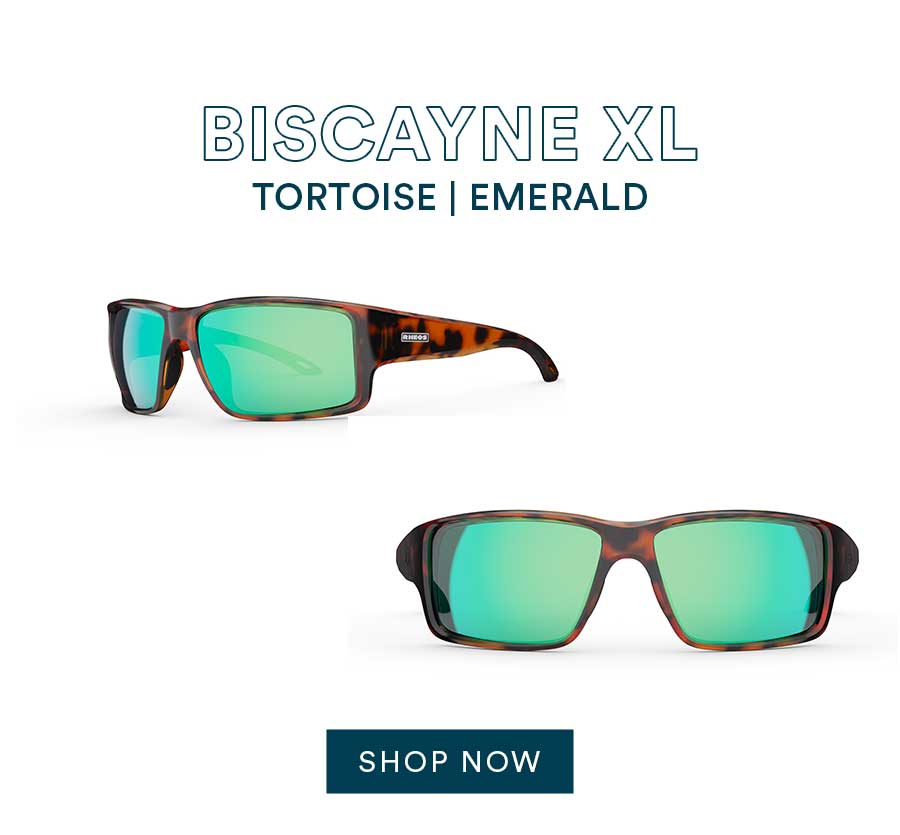 Biscayne XL Tortoise Emerald