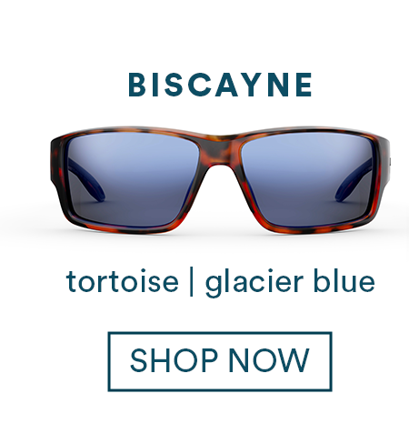 Biscayne Tortoise Glacier Blue