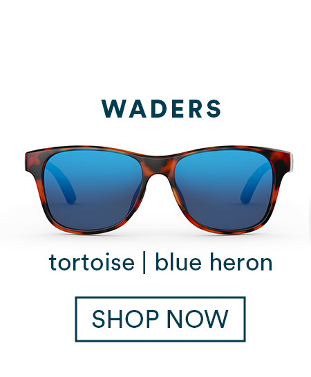 Waders Tortoise Blue Heron