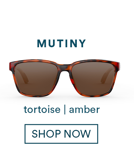 Mutiny Tortoise Amber